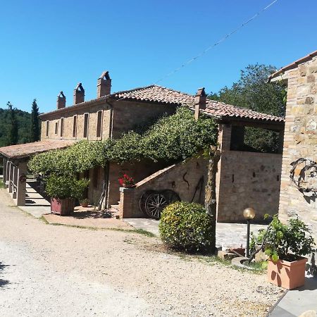 Agriturismo Selvella 알레로나 외부 사진