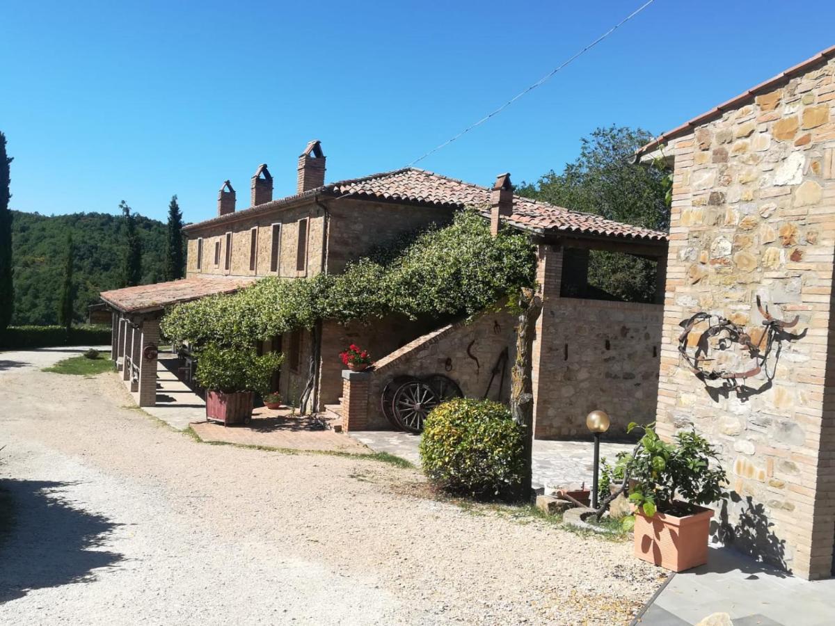 Agriturismo Selvella 알레로나 외부 사진