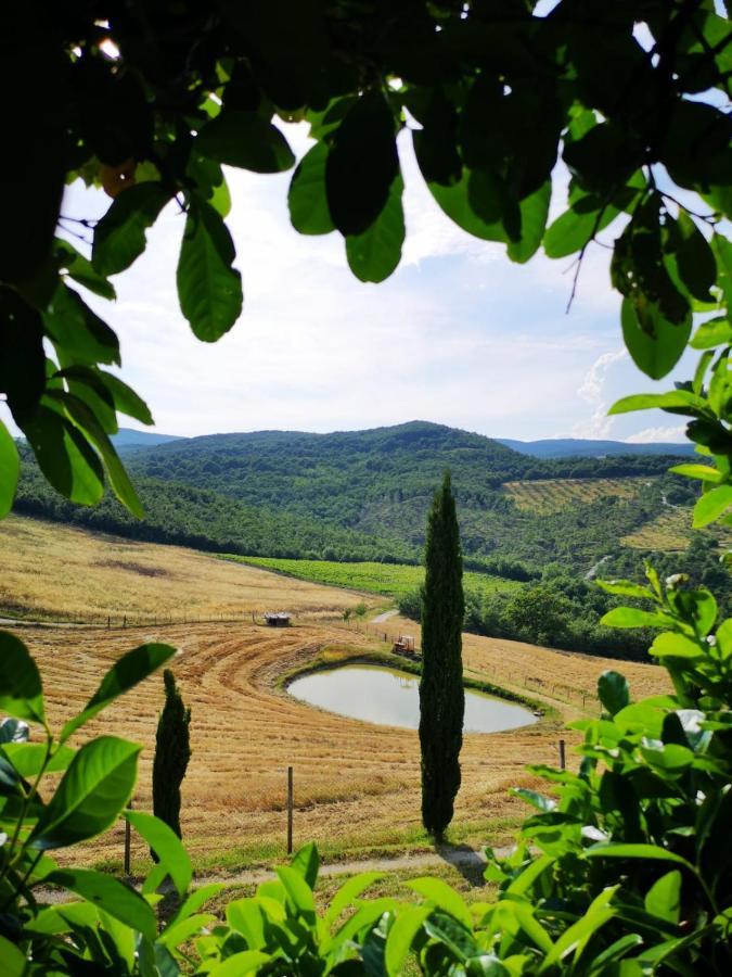Agriturismo Selvella 알레로나 외부 사진