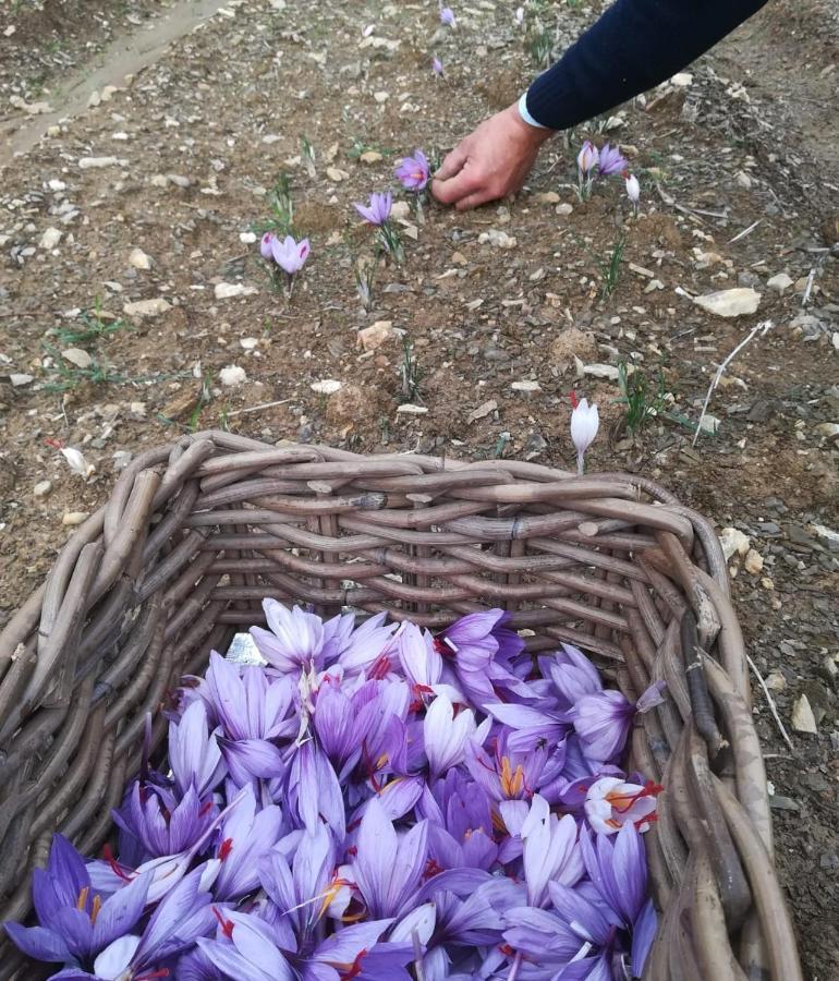 Agriturismo Selvella 알레로나 외부 사진