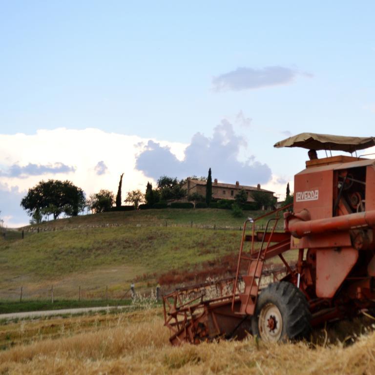 Agriturismo Selvella 알레로나 외부 사진